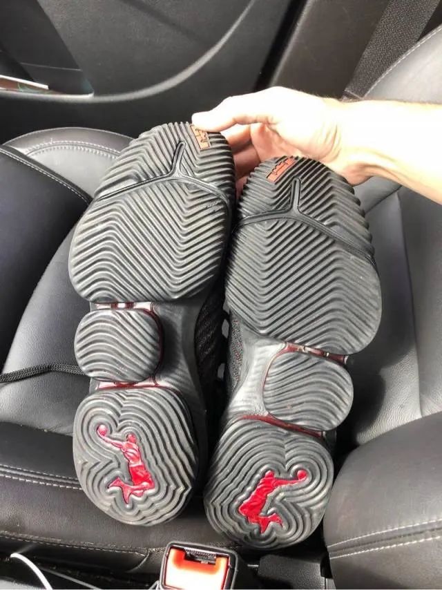 Nike LeBron 16 Fresh Bred